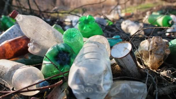 Costa Del Río Con Una Gran Cantidad Botellas Plástico Dispersas — Vídeo de stock