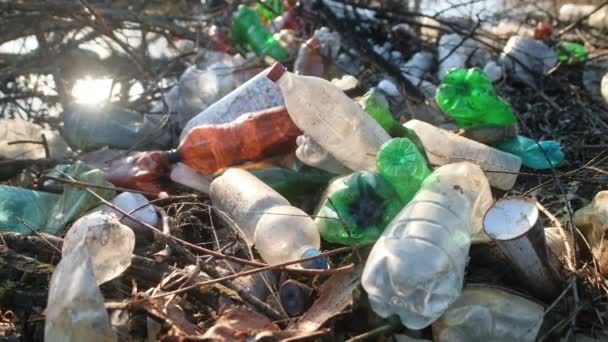 Costa Del Río Con Una Gran Cantidad Botellas Plástico Dispersas — Vídeos de Stock