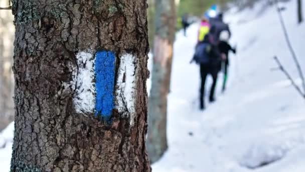 Tree Sign Hiking Tour Winter Carpathians Romania Group People Backpacks — Stock Video