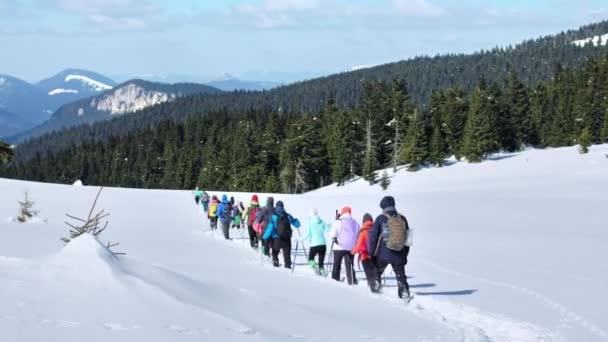 Passeio Caminhada Inverno Cárpatos Romênia Grupo Pessoas Com Mochilas Bastões — Vídeo de Stock