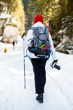Sırt çantalı ve kayak direkli bir kadın, Romanya 'nın Karpatlar kentinde bir yürüyüş turunda tırmanıyor. Kar Ormanı