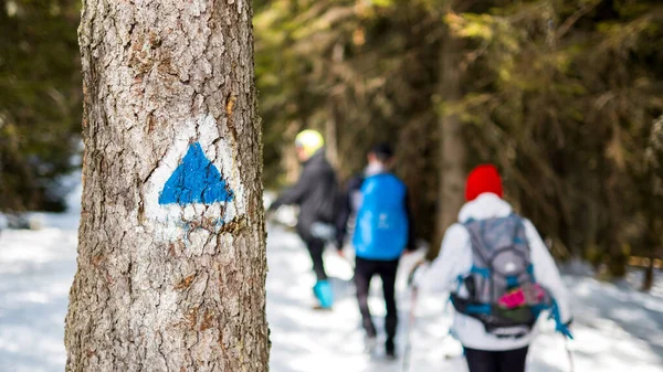 Tree with a sign at a hiking tour in the spring Carpathians, Romania. A group of people with backpacks and ski poles climbing. Snow forest