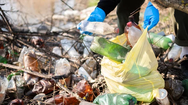 Homem Luvas Coletando Garrafas Plástico Espalhadas Chão Natureza — Fotografia de Stock