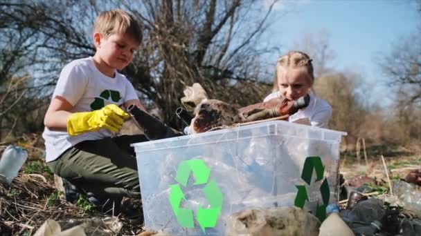 Chłopiec Dziewczyna Zbierający Plastikowe Śmieci Pojemniku Zanieczyszczonej Polanie Znaki Recyklingu — Wideo stockowe