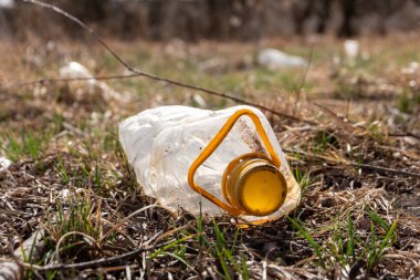 Sarı şapkalı plastik bir şişe çimenlerin üzerine fırlatılmış.