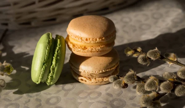 Dois Cremosos Macarons Bege Verde Chão Plano Branco Cinza Perto — Fotografia de Stock