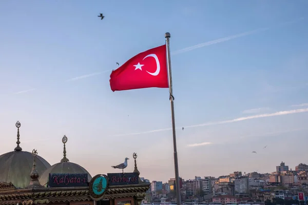 Bandeira Vermelha Turquia Primeiro Plano Gaivotas Voadoras Edifícios Arquitetônicos Locais — Fotografia de Stock