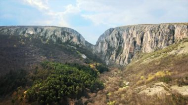 Romanya 'daki kayalık bir kanyonun insansız hava aracı görüntüsü. İnce bitki örtüsü olan kayalık kayalıklar