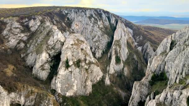 Widok Lotu Ptaka Skalisty Kanion Rumunii Skaliste Klify Rzadką Roślinnością — Wideo stockowe