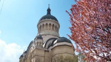 Romanya 'nın Cluj Napoca kentindeki Avram lancu Meydanı' nda yer alan Ortodoks Katedrali. Önünde çiçek açan ağaç.