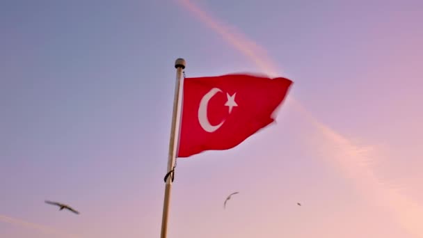 イスタンブールの旗竿にトルコ国旗を振っている 背景には夕焼け空と空飛ぶ鳥 — ストック動画