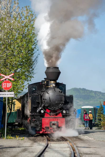 VISEU DE SUS, ROMANIA - MAYIS, 2022: Bir tren istasyonundaki Mocanita buharlı treni turistlerle dolu