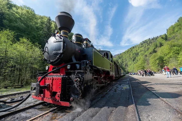 Viseu Sus Rumänien Mai 2022 Blick Auf Den Dampfzug Mocanita — Stockfoto