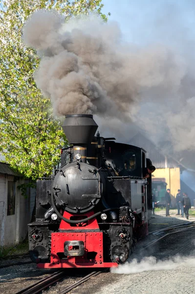 Вигляд Місця Призначення Steam Train Mocanita Залізничній Станції Румунії — стокове фото