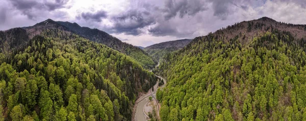 Romanya Doğanın Insansız Hava Aracı Görüntüsü Karpat Dağları Yemyeşil Ormanlarla — Stok fotoğraf