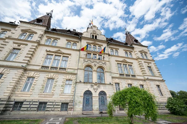Vista Del Centro Storico Sighisoara Romania Palazzo Del Municipio Realizzato — Foto Stock