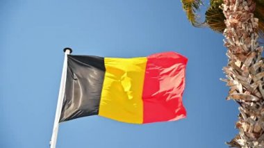 Belçika bayrağı bayrak direğinde sallanıyor. Arka planda mavi gökyüzü, yakınlarda palmiye ağacı. Yavaş çekim