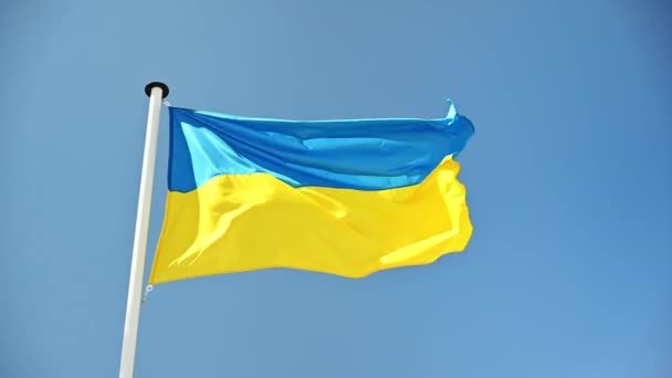 Bendera Ukraina Mengibarkan Angin Tiang Bendera Langit Biru Latar Belakang — Stok Video