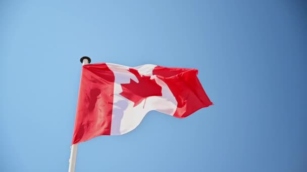 カナダの国旗は旗竿の上で風になびいている 背景に青い空 スローモーション — ストック動画
