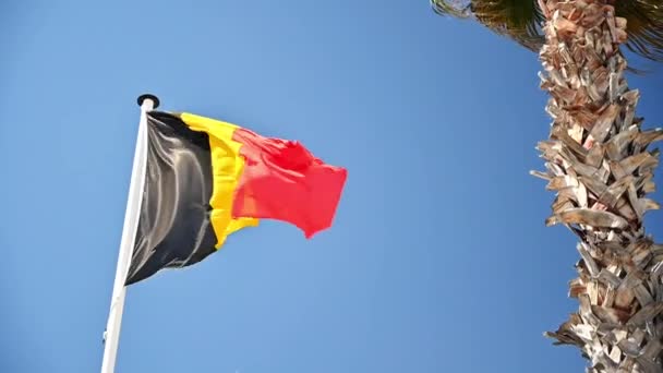 ベルギー国旗が旗竿の上で風になびいている 背景に青い空 近くのヤシの木 スローモーション — ストック動画