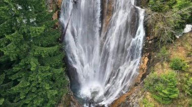 Romanya 'da doğanın insansız hava aracı görüntüsü. Karpat dağları, etrafını saran yemyeşil ormanlarla çevrili su duvarı.