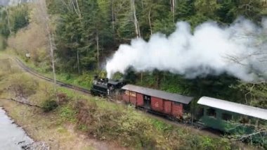 VİSEU DE SUS, ROMANIA - MAYIS, 2022: Mocanita 'nın içinde işçiler, yemyeşil orman ve nehir bulunan bir vadide hareket halindeki buhar treni görüntüsü