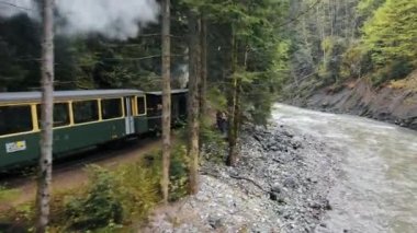 VİSEU DE SUS, ROMANIA - MAYIS, 2022: Mocanita 'nın içinde işçiler, yemyeşil orman ve nehir bulunan bir vadide hareket halindeki buhar treni görüntüsü