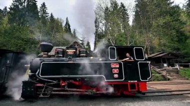 VİSEU DE SUS, ROMANIA - MAYIS, 2022: Mocanita buharlı tren Mocanita bir demiryolu istasyonundaki bir vadide, içinde işçiler, yemyeşil orman