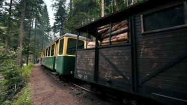 VISEU DE SUS, ROMANIA - MAYIS, 2022: Mocanita buharlı trenini içinde işçiler olan bir vadide hareket ettirmek,