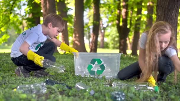 Menino Menina Coletando Lixo Plástico Recipiente Parque Poluído Placas Reciclagem — Vídeo de Stock