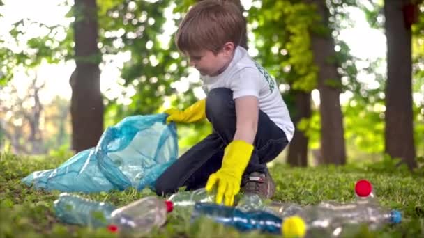 Pojke Samla Plast Skräp Container Förorenad Park Återvinning Skyltar Shirt — Stockvideo