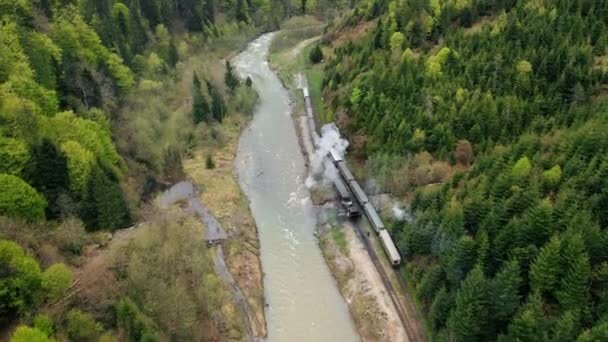 Aerial Drone View Moving Steam Train Mocanita Valley Lush Forest — Stock Video