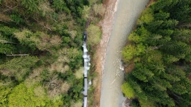 Aerial Drone Vertical View Moving Steam Train Mocanita Valley Lush — Stock Video