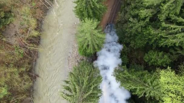 Aerial Drone Vertical View Moving Steam Train Mocanita Valley Lush — Stock Video