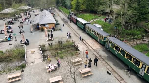 Viseu Sus Romania May 2022 Air Drone View Steam Train — 图库视频影像