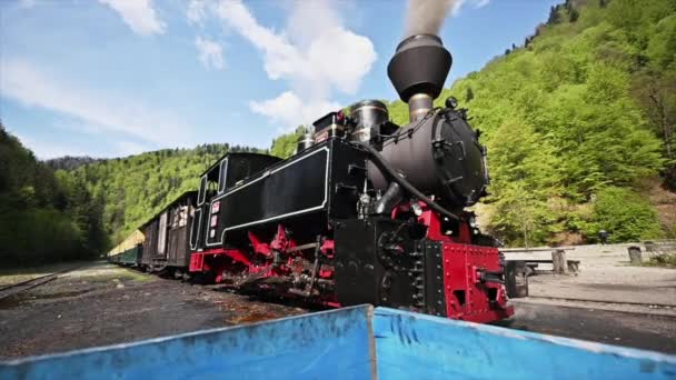 Визес Сус Румыния 2022 Старый Паровой Поезд Вагончике Железнодорожной Станции — стоковое видео