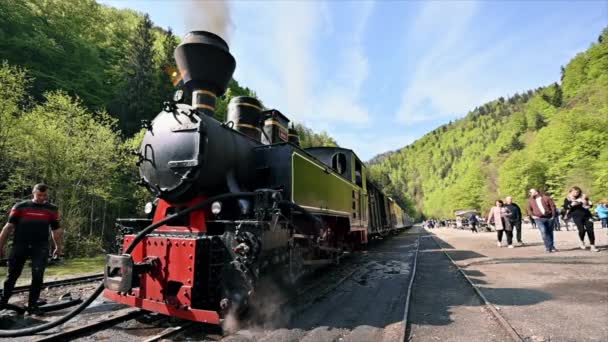 Viseu Sus Romania 2022年5月 蒸気機関車観光客のいる鉄道駅の谷のモカニタ 周りの緑豊かな森 — ストック動画