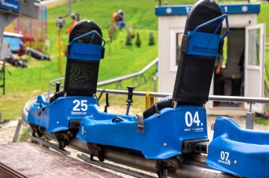 Romanya 'daki Karpatlar' da yaz ayının Alp Altlığı manzarası