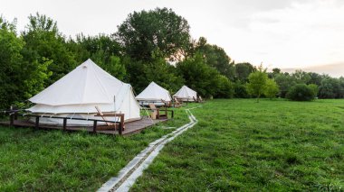Tents with wooden chairs at glamping, lush forest around