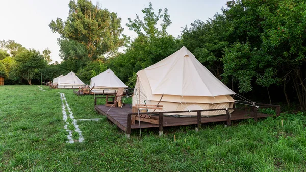 Tents Wooden Chairs Glamping Lush Forest — Fotografia de Stock