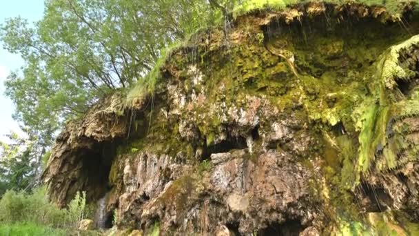 Vista Cascada Mesotérmica Toplita Rumania Montón Vegetación Alrededor — Vídeos de Stock