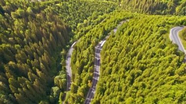 Romanya 'daki Karpatlar' da doğanın insansız hava aracı görüntüsü. Yürüyen arabalarla yol, yemyeşil ormanlarla kaplı tepeler