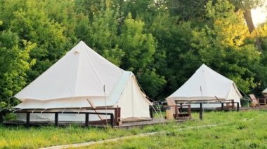 Tents with wooden chairs at glamping, lush forest around