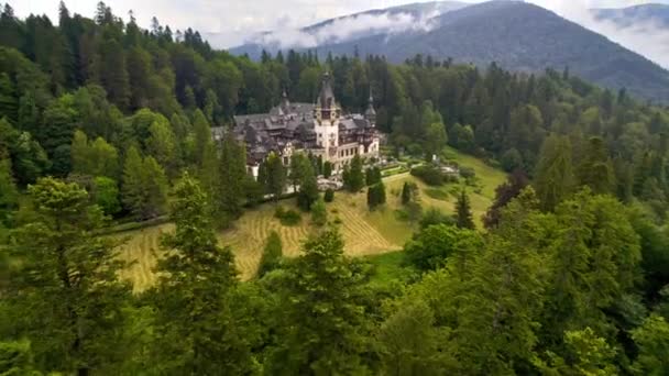 Aerial Drone View Peles Castle Romania Castle Gardens Tourists Carpathians — ストック動画