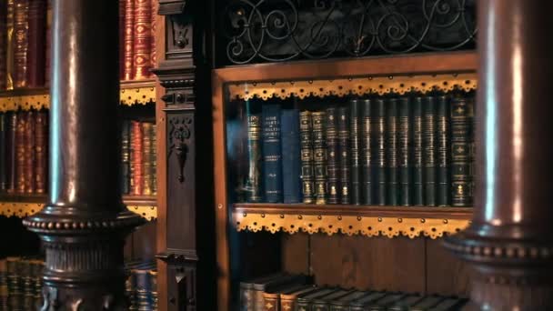 Peles Castle Interior Romania Wooden Bookcase Old Books — Stockvideo