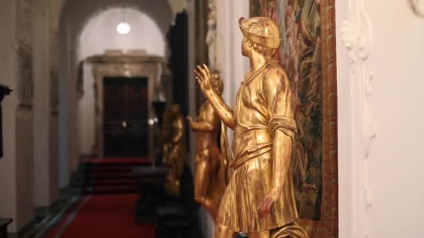 Peles Castle Interior Romania Hallway Golden Statues — Vídeo de stock