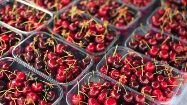 Counter Lot Cherries Containers — Stock video