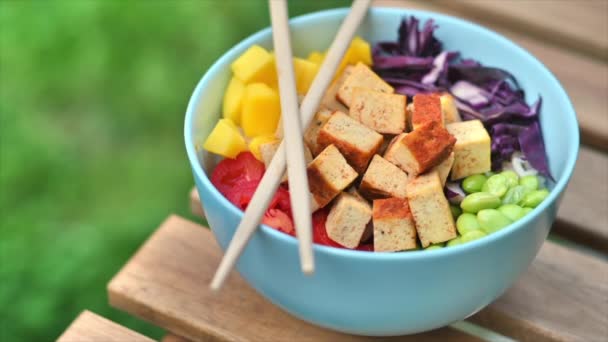 Vegan Šťouchaný Zeleninou Tofu Misce — Stock video
