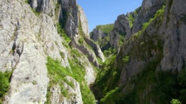 Aerial drone view of a rocky canyon in Romania. Rocky cliffs with greenery