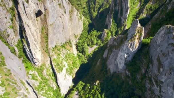 Aerial Drone View Rocky Canyon Romania Rocky Cliffs Greenery — Vídeos de Stock